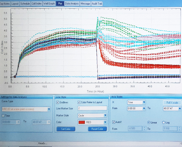 Bioanalytik Zellanalyse Echtzeitanalyse