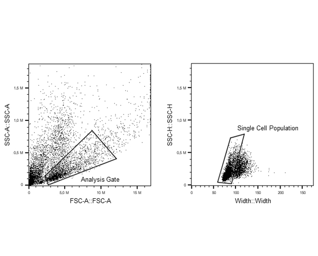 Bioanalytik Zellanalyse Durchflusszytometrie