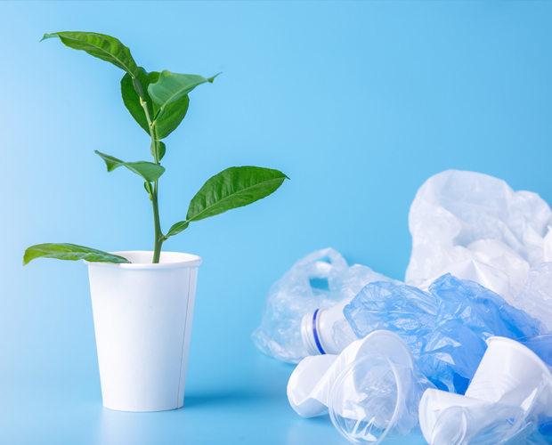 Projekt MoNova Recyclingfähige Plastikverpackungen