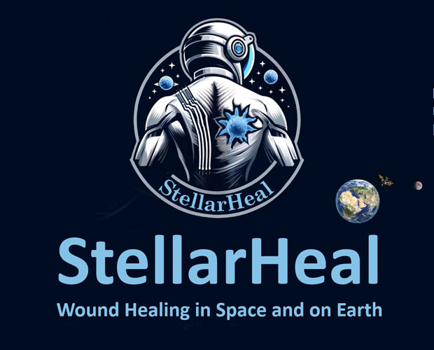 Projekt StellarHeal