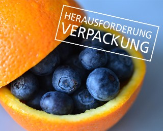 Industrie-Workshop Herausforderung Verpackung