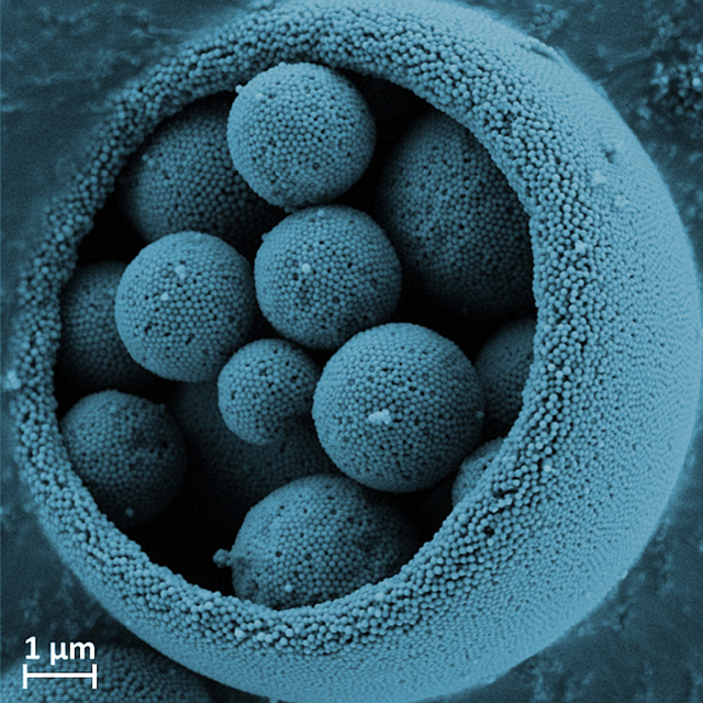 Funktionalisierte Silica Partikel