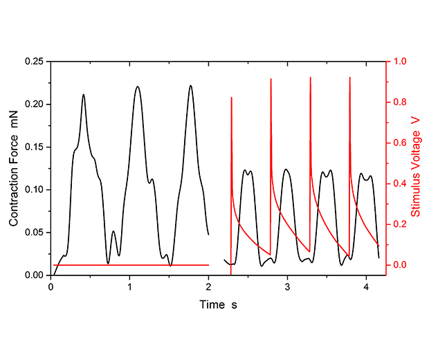 Bioanalytics Isolated Organs