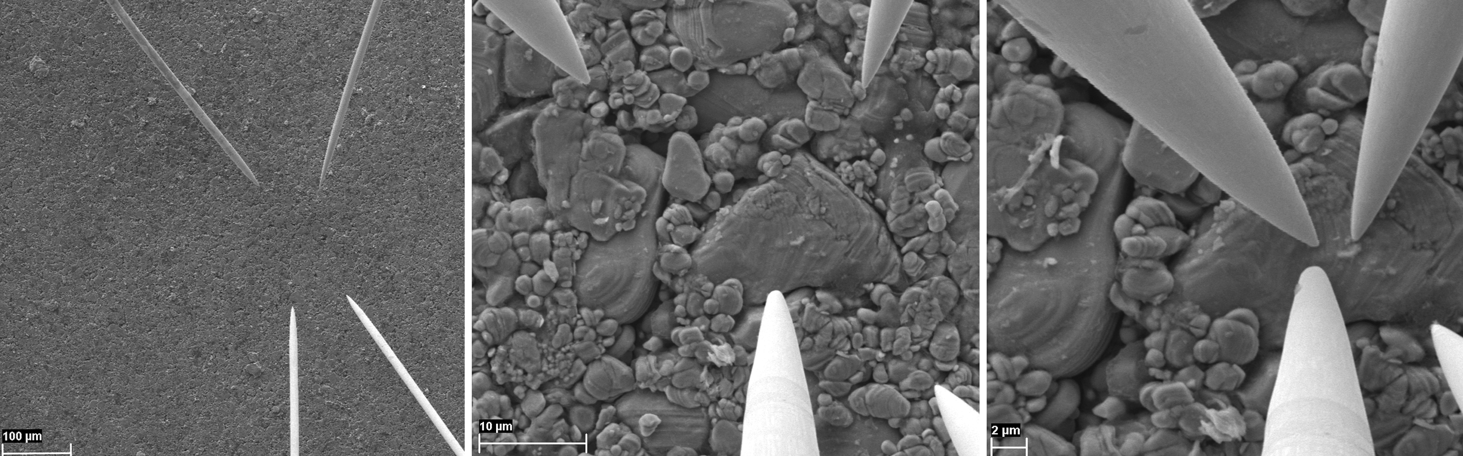 Damage analysis SEM image