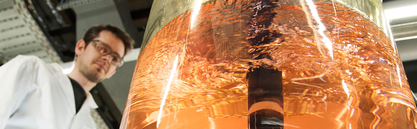 Lacquer Production Synthesis