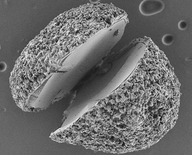 Project HybridPEARLS: Functional encapsulation through multiple coatings